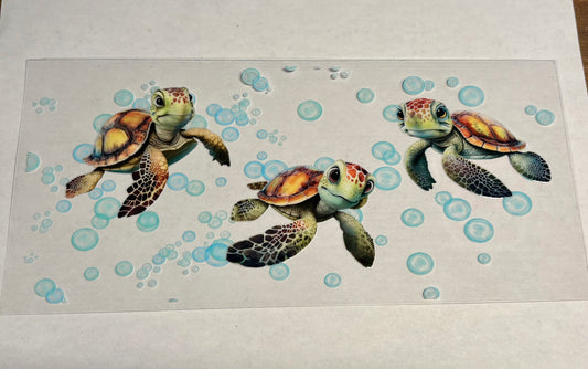 Turtle